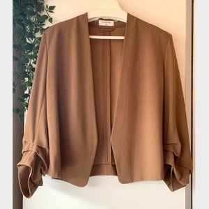Aritzia Babaton Power Blazer
